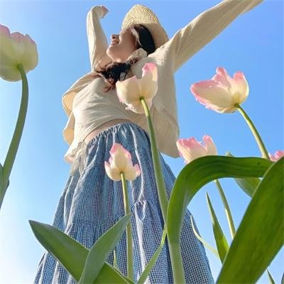 水晶仙女与魔法仙人掌