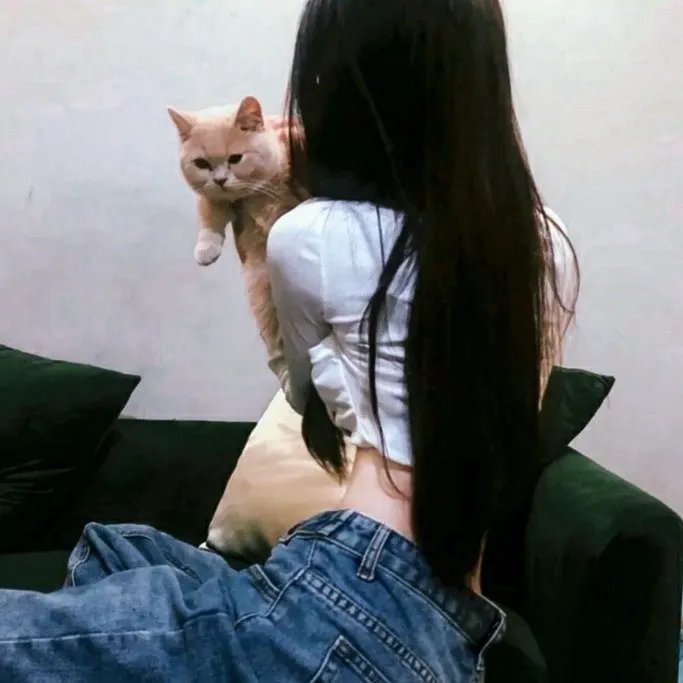 皇牌特务龙虎斗